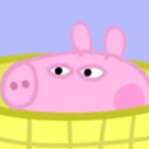 看不到我(小猪佩奇)