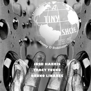 A Tiny Shoe (Josh Harris Radio Edit)