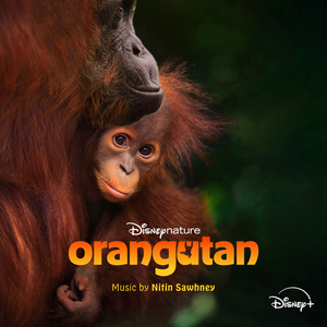 Hard Times (From "Disneynature: Orangutan"/Score)