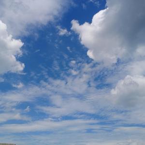 斩尽春风梦雪寒