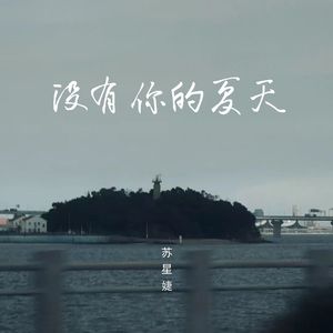 没有你的夏天