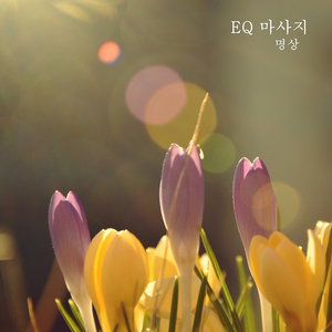 뒹구르르 꿈나라