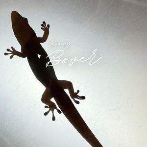 趁你旅行时搬走