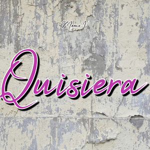 Quisiera