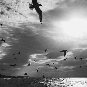 我面朝大海春暖花开