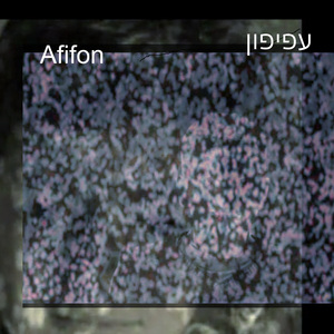 Afifon