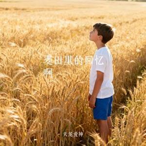 麦田里的回忆啊