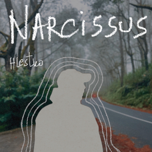 Narcissus