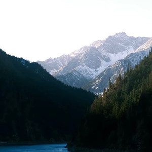 此痛绵绵无绝期