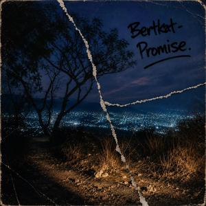 Promise