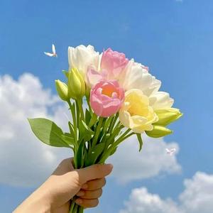 鼓励自己过好今天就好（语录版）