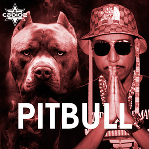 Pitbull