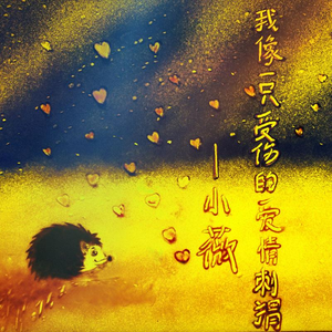 我像一只受伤的爱情刺猬
