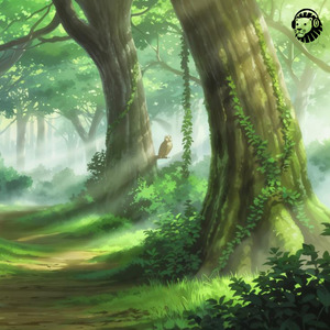 Soft Feathers, Soft Chords