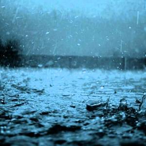 夜の国（翻自 Annabel）