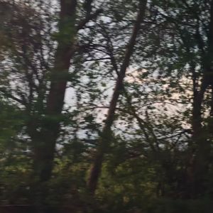 不倒翁（Prod by BECUBEATZ）