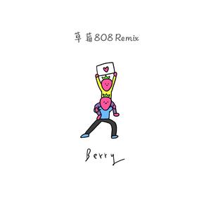 李佳隆-李佳隆 - BERRY REMIX （草莓808 Remix）（草莓味808 remix）