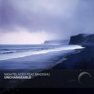 Unchangeable (feat. Madishu)