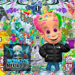 Yo no hice la realidad PVT444, así venía