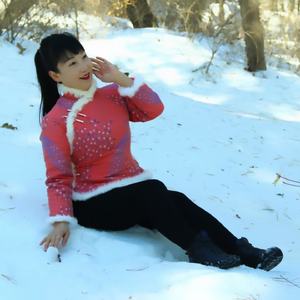 东北的雪东北的风