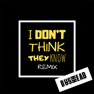 I Don't Think They Know (Bushhead Remix)