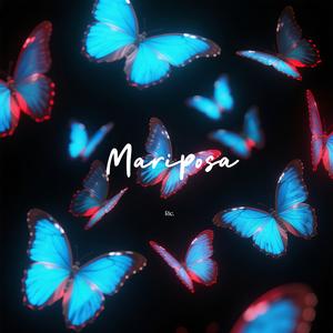 没有我的世界里