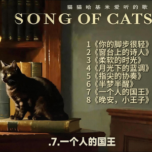 猫猫哈基米爱听的歌7一个人的国王