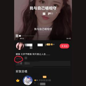 琵琶箫版我与自己唱相守、是我在做多情种