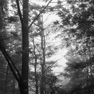 Dehumidifier (A S M R Interlude)