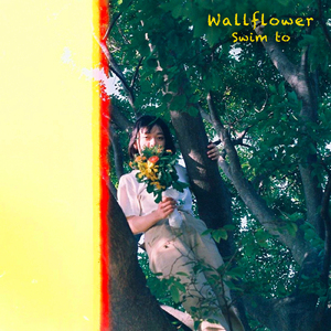 Wallflower