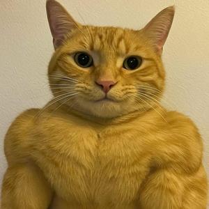 Shape of You (slowed)