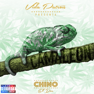 Camaleon