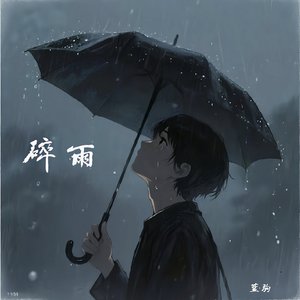 碎雨.mp3