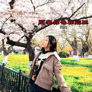 原来你也在这里