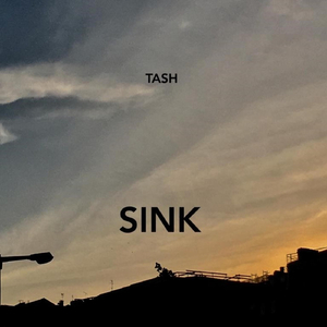 Sink