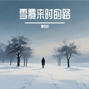 雪覆来时的路