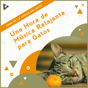 Sonidos relajantes para gatos