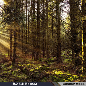 Wistful Echoes in Time