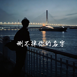 删不掉你的名字