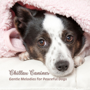 Soothing Canine Lullabies