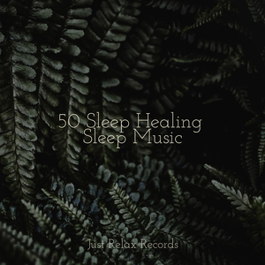 Echoes in Enchanted Mist