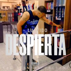 Despierta