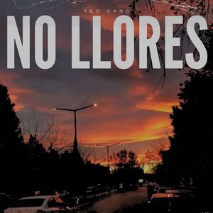 Chicos de la Noche