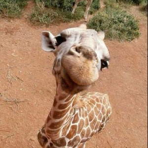 Save You a Seat (nightcore)