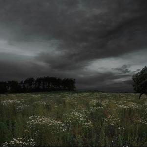 Breadwinner (spedup)