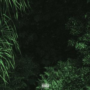 MUWALA (Bonus track)