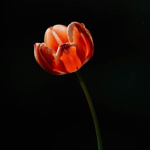 与您同行