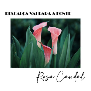 Descalça Vai Para a Fonte