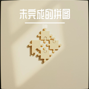 未完成的拼图