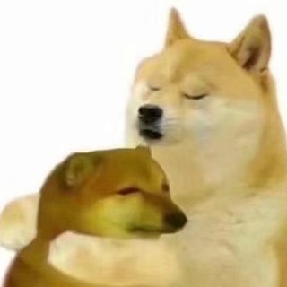 轻音乐 | 适合学习或睡觉时听的曲子